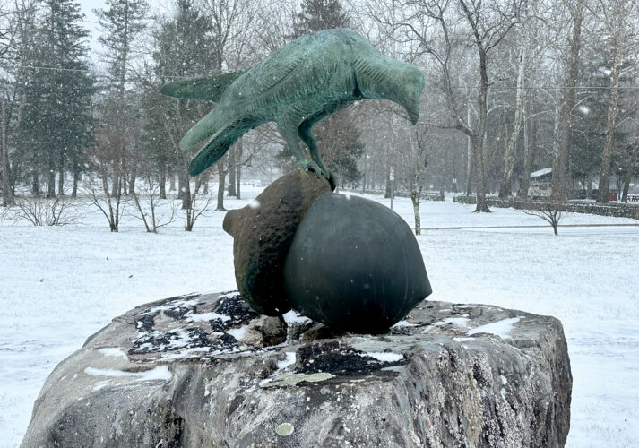 This Weather Is For The Birds